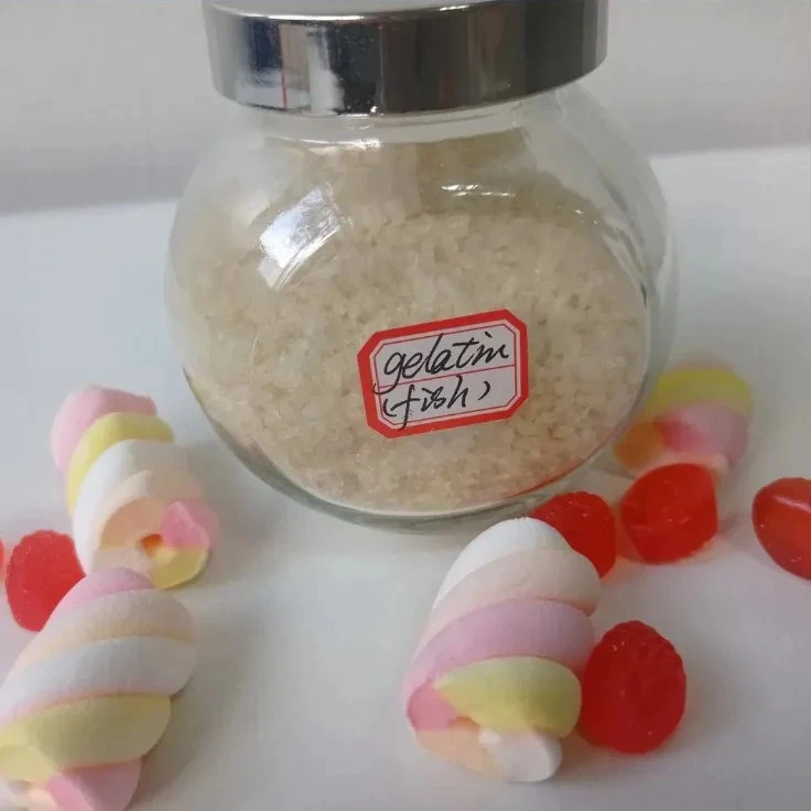 Fish Gelatin Fish Gelatin